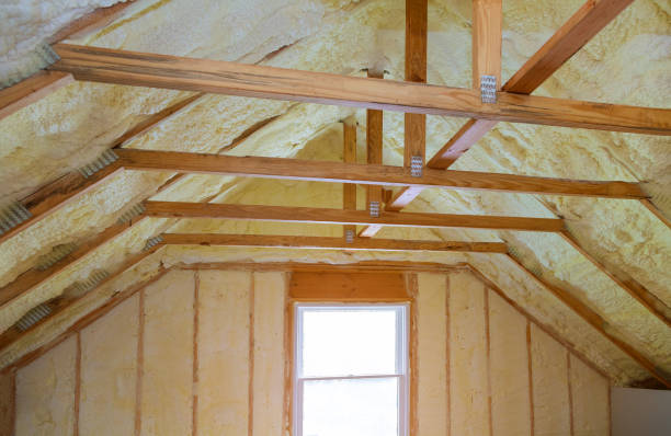 Best Insulation Maintenance and Repair in Lauderdale Lakes, WI